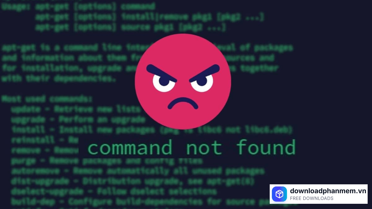 command not found